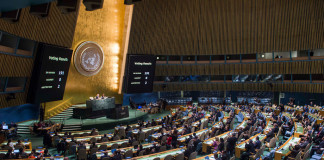 Nigeria’s Awosika re-elected as UN Scientific Panel chair