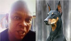 Court Frees Iroko, Man Who Named Dog Buhari