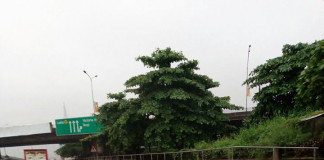 Downpour, thunderstorm in Lagos on election day