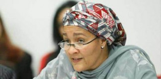 UN resumes humanitarian services in Borno