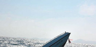 Eleven die as boat capsizes