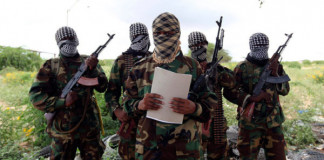 Chad stops fighting Boko Haram in Niger