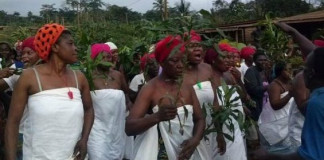 Cameroon: 17 killed in Anglophone regions protests