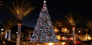 No signs of Christmas