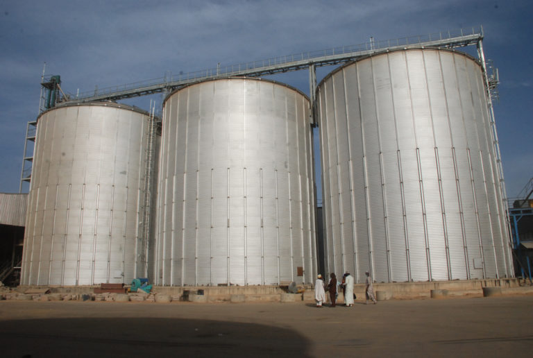 Agro investment: $50m oil mills plant to create 5,000 jobs –CEO