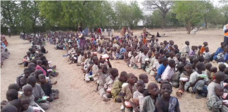 300 babies born in IDP camp
