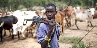 Herdsmen: 55 killed in fresh attack in Taraba
