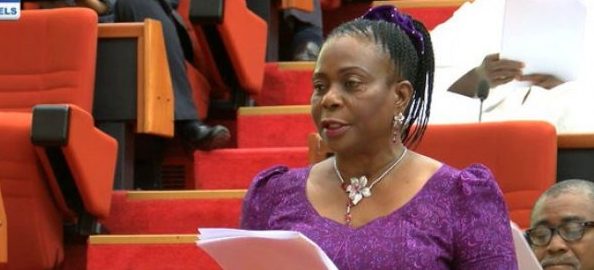 Crisis as official ‘slaps’ senator at National Assembly