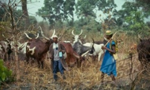 Eleme Attack: Regulate Activities of Herdsmen – MOSOP Tells Rivers CP