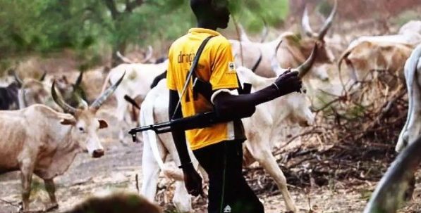 Ebonyi collates data on herdsmen