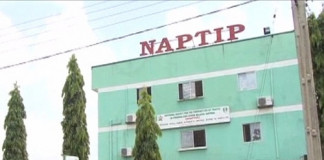 Doctor, owner of baby factory arrested