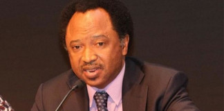 APC: If El-Rufai is for war, we are for a bigger war –Sani