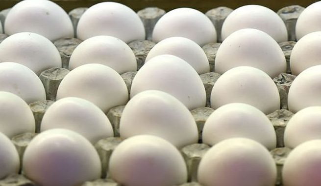U.S. recalls 200 million eggs over food poisoning