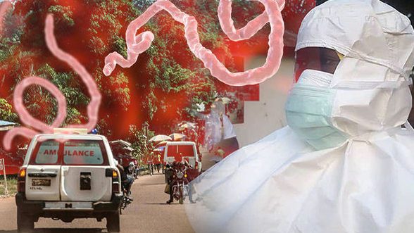 Ebola may spread nationally, internationally –WHO