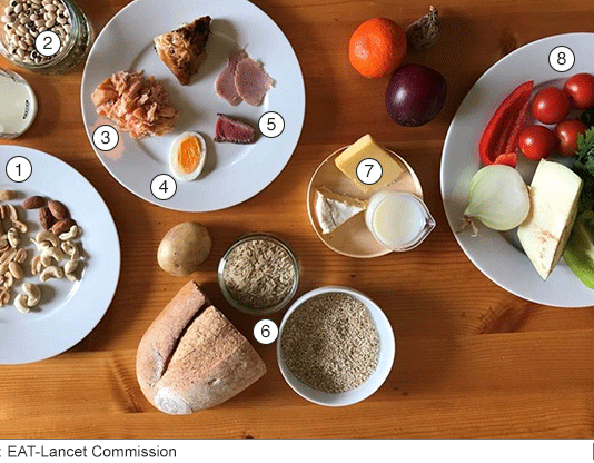 Scientists come up with the diet to save lives, the planet and feed us all