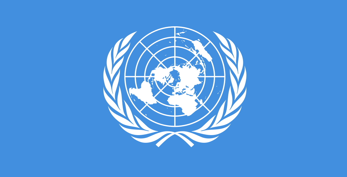 35,000 Nigerian refugees safe in Cameroon – UN