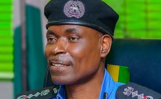 Guber-States Assembly Polls: Police Deploy 7 DIGs, 10 AIGs, CPs