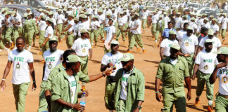 After NYSC, What’s Next?