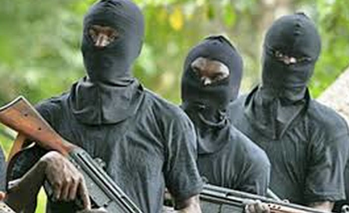 Kaduna: 21 persons killed, 50 cows rustled in Kajuru attack — Police