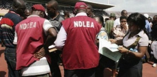 NDLEA Arrests Two Suspected Cocaine Traffickers