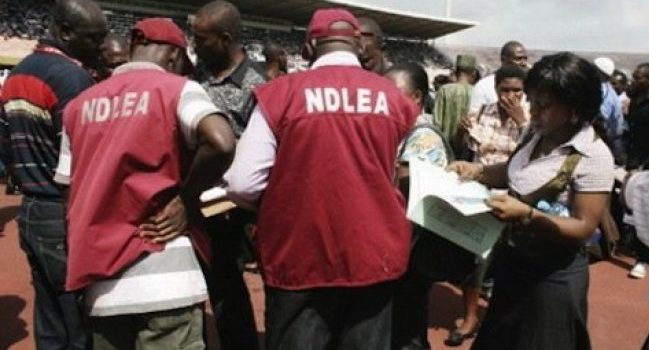 NDLEA Arrests Two Suspected Cocaine Traffickers