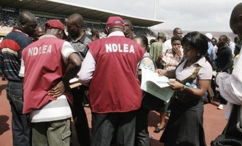 NDLEA Arrests 72 Suspected Drug Peddlers, Seizes 6.65 kg of Illicit Drugs in Edo