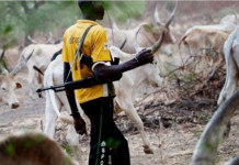 FG Supporting Herdsmen's Killings, Says Anambra Lawmakers