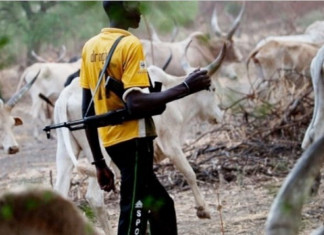 FG Supporting Herdsmen's Killings, Says Anambra Lawmakers