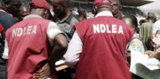 NDLEA Nabs Suspected Hard Currency Smugglers