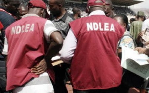 NDLEA Nabs Suspected Hard Currency Smugglers
