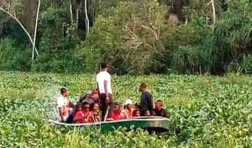 IYC Sends SOS to NDDC Over Threat by Water Hyacinth