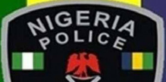 Niger Gets New CP