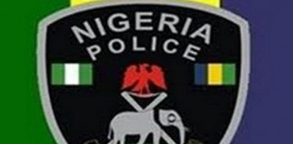 Police Arrest 2 Boko Haram Commanders in Borno