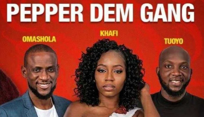 BBNaija 2019 logo TNE BBNAIJA Kicks Off With'Craziest' Housemates, Read Their Profiles