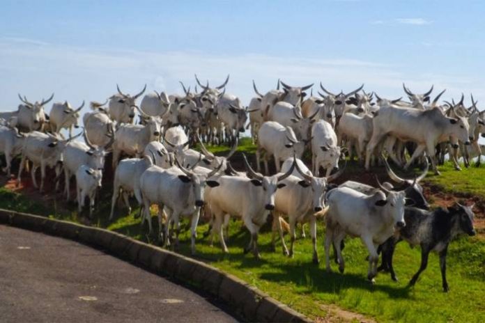 Herdsmen