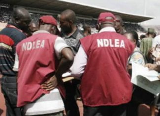 Buhari Approves Recruitment of 5,000 Personnel for NDLEA