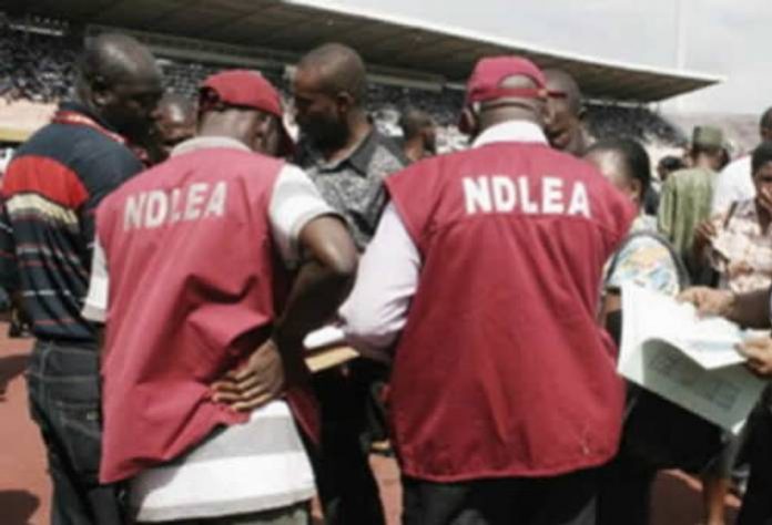 NDLEA ops TNE Buhari Approves Recruitment of 5,000 Personnel for NDLEA