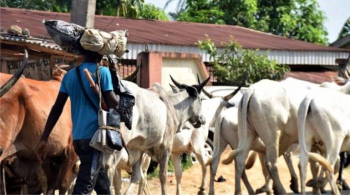 Why RUGA Will Never Be Accepted In Benue  -AFAN Chairman