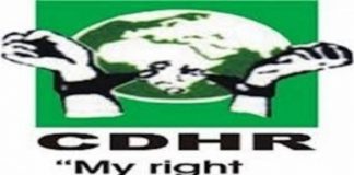 CDHR Flays Buratai Over ‘Operation Positive Identification’