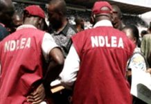 NDLEA Arrest Policeman, Another For Supplying Drugs To ‘Boko-Haram’ Terrorists