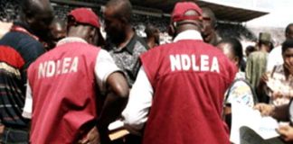 NDLEA Arrest Policeman, Another For Supplying Drugs To ‘Boko-Haram’ Terrorists