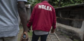 Imo NDLEA Confirms Arrest Of Alleged Notorious Drug Dealer