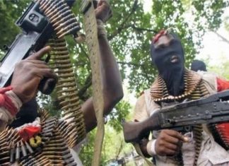 Gunmen Allegedly Kidnap Justice Ministry Director, School Principal, Three Others In Adamawa