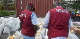 NDLEA Destroys 11,669 kg Of Illicit Drugs Worth N1.65bn In Nasarawa