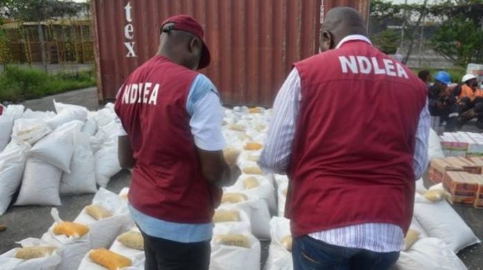 NDLEA Officials NDLEA Destroys 11,669 kg Of Illicit Drugs Worth N1.65bn In Nasarawa