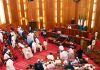 Senate Tells IGP To Reduce Checkpoints On Federal Highways