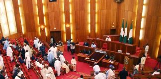 Senate Tells IGP To Reduce Checkpoints On Federal Highways