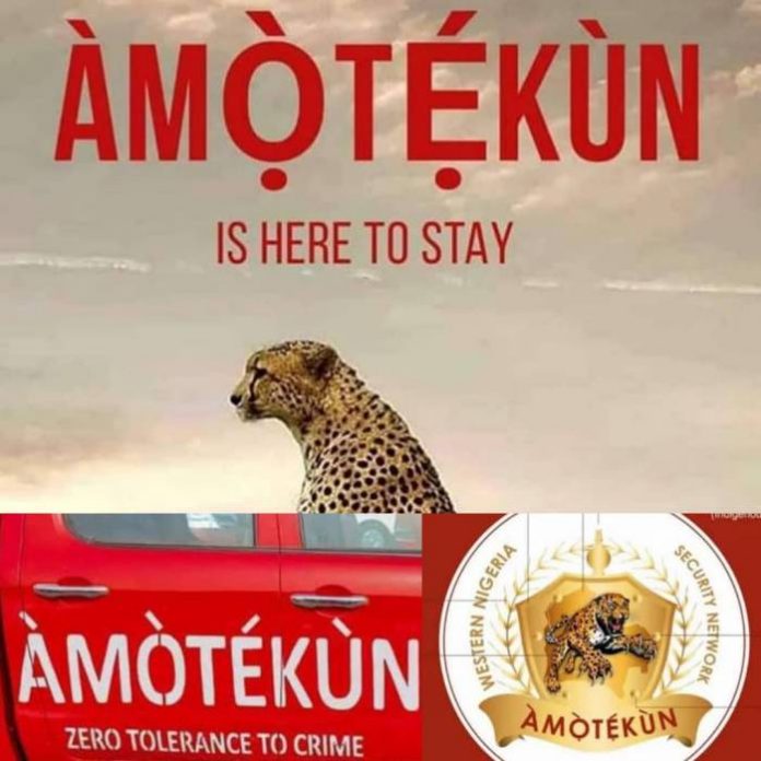 Amotekun Logo Yoruba To Hold Protest In Support Of Amotekun On Tuesday
