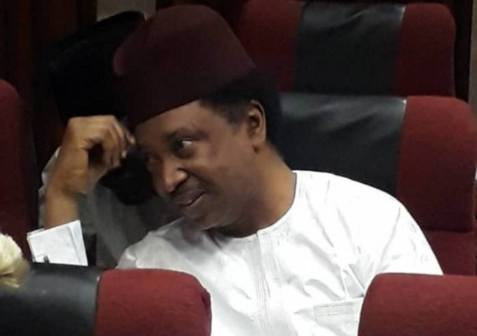 Court grants Shehu Sani bail UPDATED: Sen Shehu Sani Arraigned, Granted N10 Million Bail