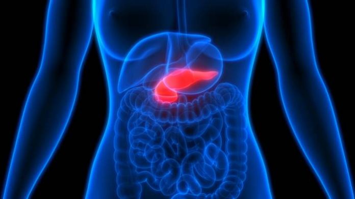 Scientists discover BREAKTHROUGH: Israeli Scientists Discover Alternative To Kidney Transplant